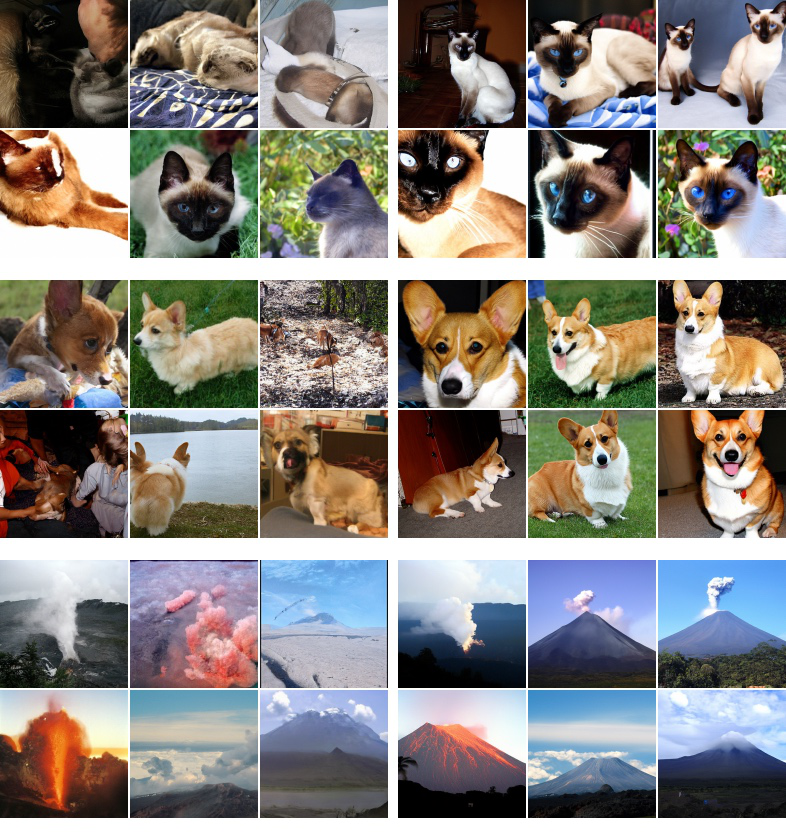 Sample grid: ImageNet cats, corgis, and volcanoes generated with stronger classifier-free guidance, showing sharper but less diverse outputs