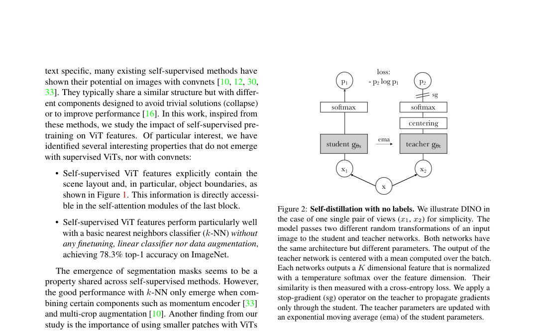 Verified architecture: teacher–student self-distillation with two image views, softmax outputs, centering on the teacher branch, stop-gradient, and EMA teacher updates.