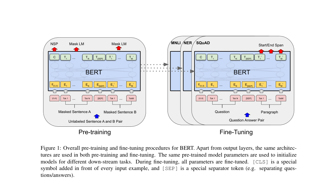 Overall diagram: pre-training predicts masked tokens and sentence order, then fine-tunes the same BERT encoder for MNLI, NER, and SQuAD with task-specific output heads.