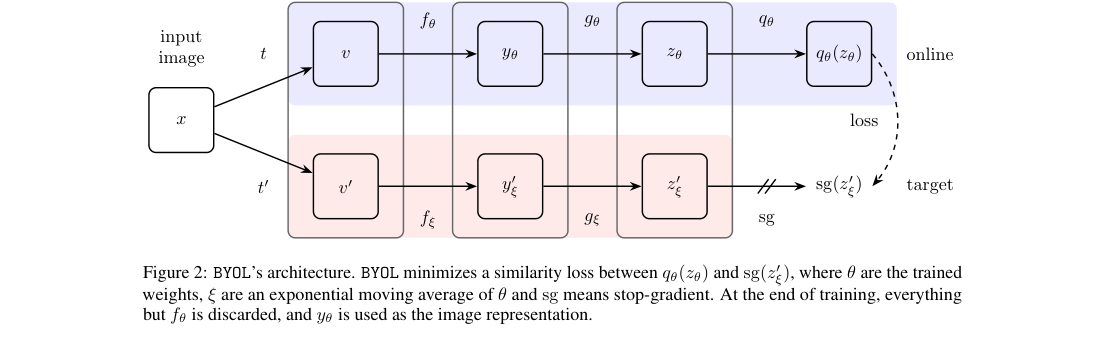Architecture diagram: an input image is augmented into two views; the online path applies encoder, projector, and predictor, while the target path applies encoder and projector with stop-gradient before the similarity loss.