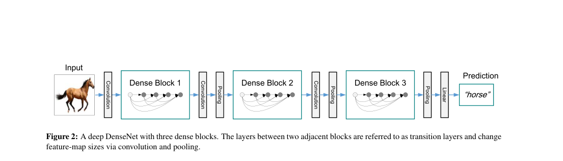 Architecture: an input image passes through three dense blocks with internal all-to-all concatenative links, separated by convolution and pooling transition layers, then global pooling and a linear classifier.