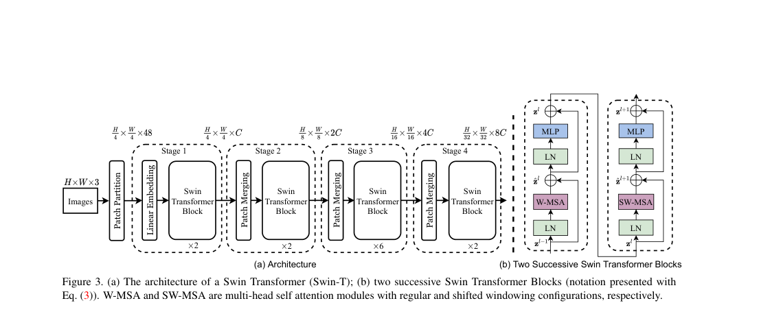 Verified architecture diagram: patch partition and linear embedding feed four hierarchical Swin stages with patch merging, plus paired W-MSA and shifted-window MSA blocks.
