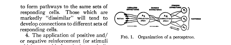Architecture diagram: retina feeds a projection area, then an association area, then multiple response units through randomized connections.