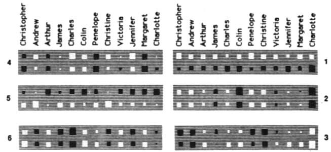 Verified caption: six binary input patterns over family-member names, illustrating the structured relational coding task used to probe hidden representations.