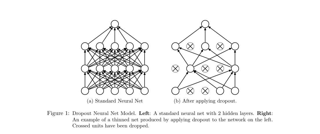 Standard multilayer network beside a thinned network after randomly dropping several hidden and input units.